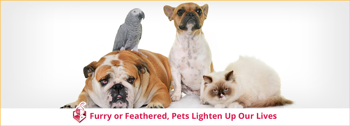 Furry or Feathered, Pets Lighten Up Our Lives