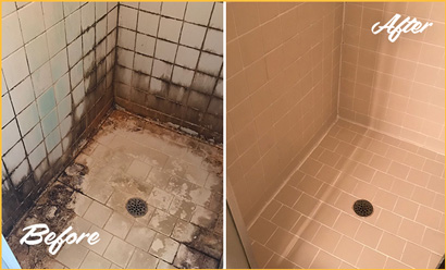Picture of Tile Shower Plagued with Mold and Mildew Before and After Cleaning Grout and Tile