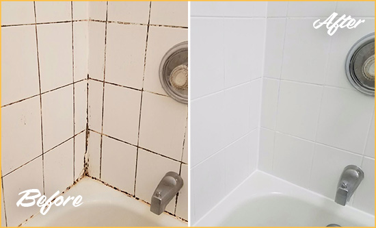 Before and After Picture of a Santa Ynez Shower Tile and Grout Cleaned to Eliminate Mold